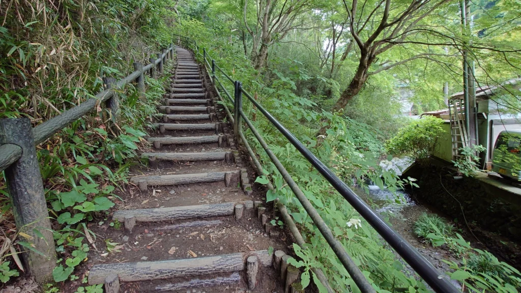 稲荷山コース登り始め