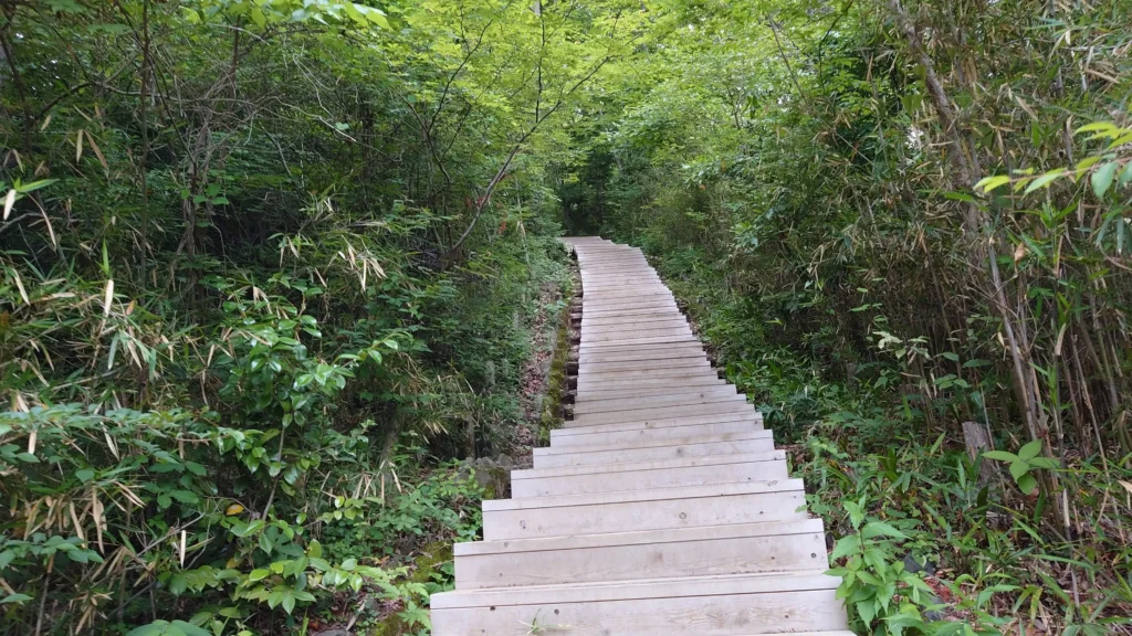 稲荷山コース終盤の階段